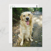 Carte postale blanche pour Chien Chien Chien Chien