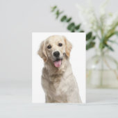 Carte postale blanche pour Chien Chien Chien Chien (Debout devant)