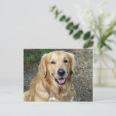 Carte postale blanche pour Chien Chien Chien Chien (Debout devant)