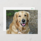 Carte postale blanche pour Chien Chien Chien Chien (Devant / Derrière)
