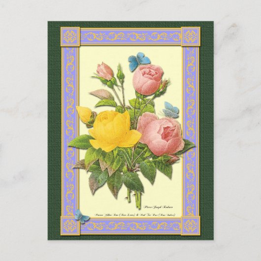 Carte postale blanche Rose rose et jaune (Devant)