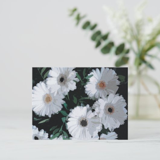 Carte Postale Blancs de Gerbera (Debout devant)