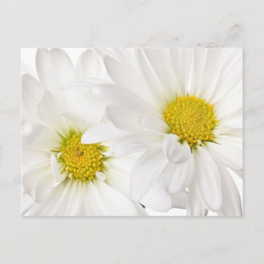Carte Postale Blancs - Modèle Fleur de marguerite Customisé (Devant)