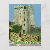 Carte Postale Blarney Castle Comté Cork (Devant)