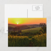 Carte Postale Blé agricole Sunset (Devant / Derrière)