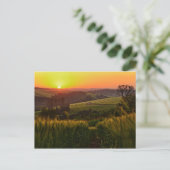 Carte Postale Blé agricole Sunset (Debout devant)