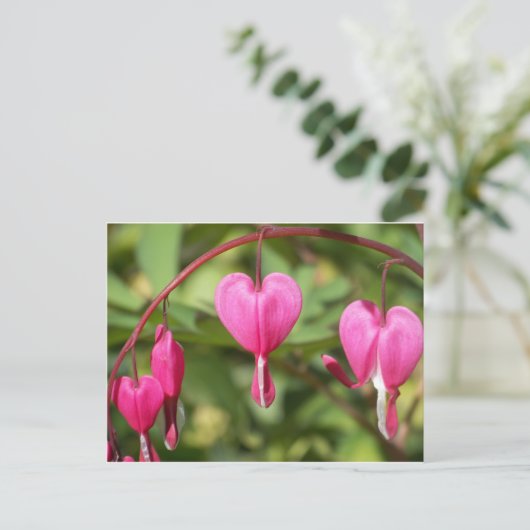 Carte Postale Bleeding Hearts (Debout devant)