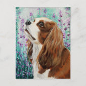 Carte Postale Blenheim Cavalier King Charles Spaniel (Devant)