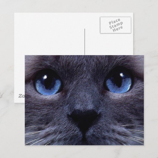 Carte Postale bleu (Devant / Derrière)