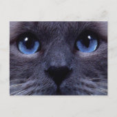 Carte Postale bleu (Devant)