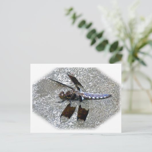 Carte Postale Bleu (Debout devant)