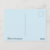 Carte Postale Bleu adorable Blanc & Chaton Brown (Dos)