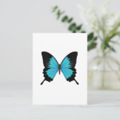 Carte Postale Bleu clair et noir Papillon Couleurs originales (Debout devant)