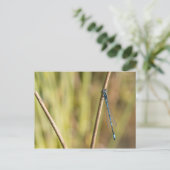 Carte Postale Bleu commun (Debout devant)