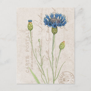 Carte Postale Bleu Cornflower Floral Français