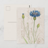 Carte Postale Bleu Cornflower Floral Français (Devant / Derrière)