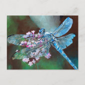 Carte Postale Bleu Dragonfly Repose Sur L'Ail Sauvage (Devant)