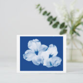 Carte Postale Bleu et blanc (Debout devant)