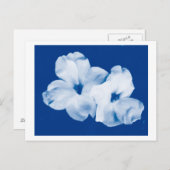 Carte Postale Bleu et blanc (Devant / Derrière)