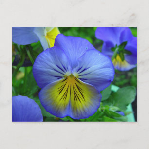 Carte postale bleu et jaune