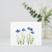 Carte Postale Bleu floral chic rustique aquarelle Cornflowers (Debout devant)