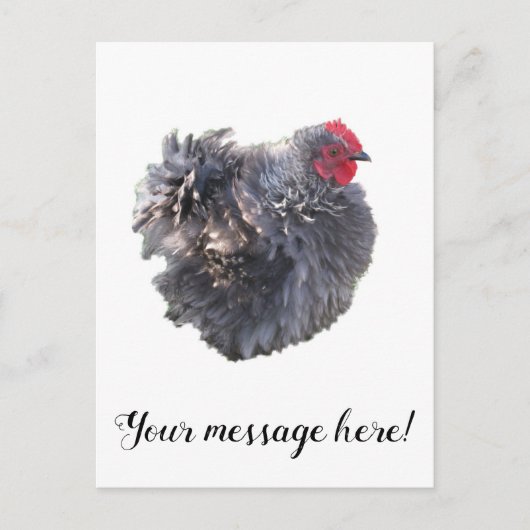 Carte Postale Bleu Fouet Cutest Cochin Bantam Rooster poulet (Devant)