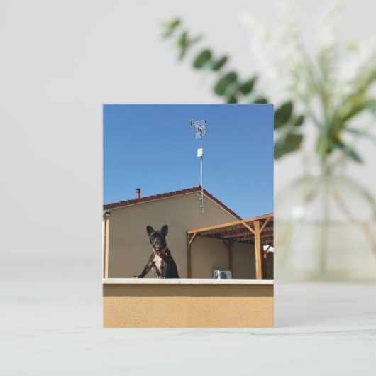 Carte postale Bleu Français (Debout devant)