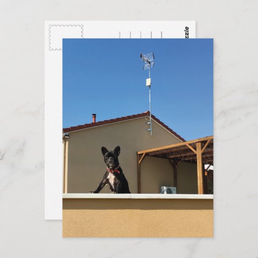 Carte postale Bleu Français (Devant / Derrière)