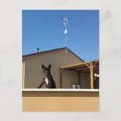 Carte postale Bleu Français (Devant)