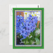 Carte Postale bleu hyacinthe (Devant / Derrière)