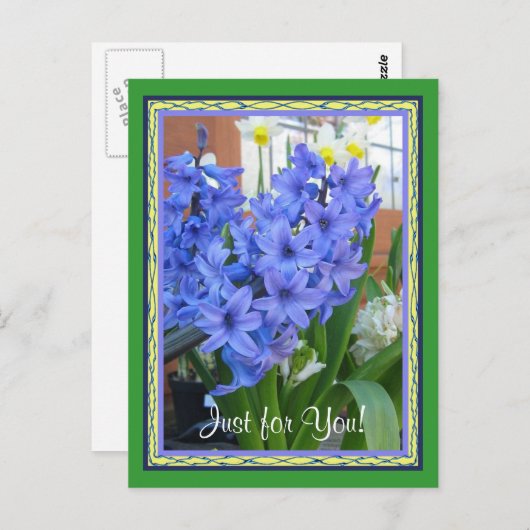 Carte Postale bleu hyacinthe (Devant / Derrière)