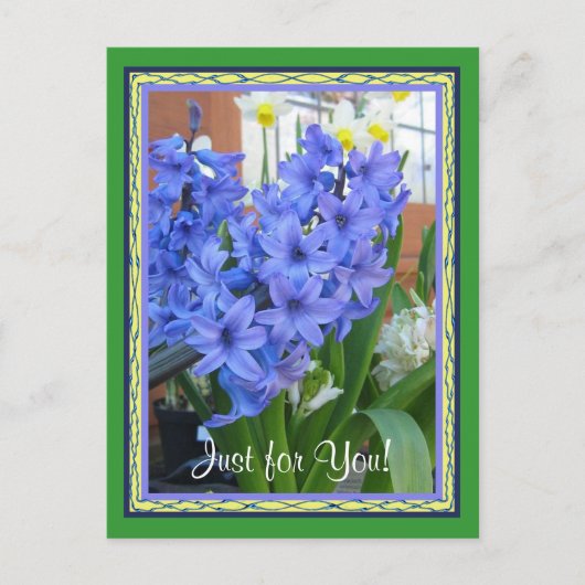 Carte Postale bleu hyacinthe (Devant)
