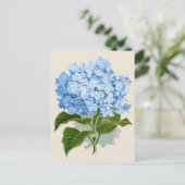 Carte Postale Bleu Hydrangea Botanique Imprimer (Debout devant)