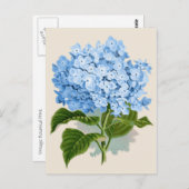 Carte Postale Bleu Hydrangea Botanique Imprimer (Devant / Derrière)