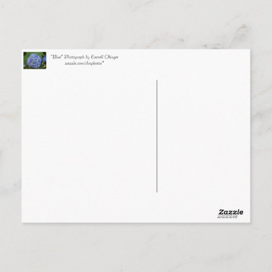 Carte Postale Bleu -Hydrangée (Dos)