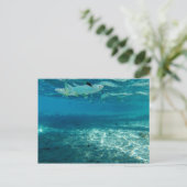 Carte Postale Bleu infini (Debout devant)