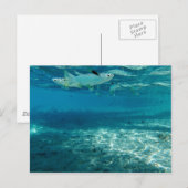 Carte Postale Bleu infini (Devant / Derrière)