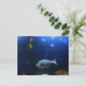 Carte Postale Bleu-jaune poisson tropical (Debout devant)