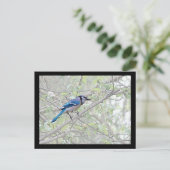 Carte Postale Bleu Jay Songbird (Debout devant)