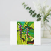 Carte Postale Bleu libellule et fleurs (Debout devant)