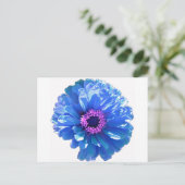 Carte Postale Bleu marguerite bleu photo florale (Debout devant)