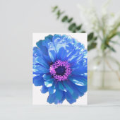 Carte Postale Bleu marguerite bleu photo florale (Debout devant)