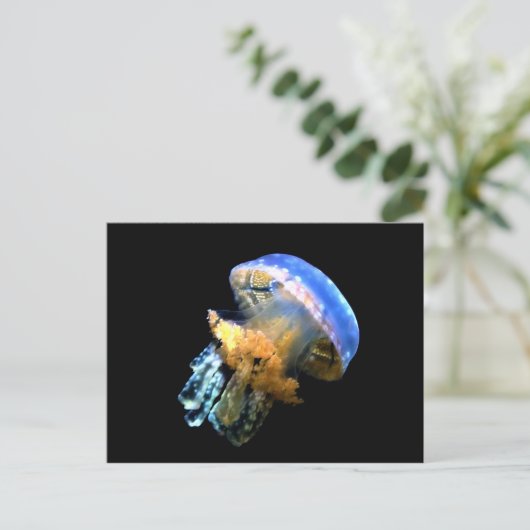 Carte Postale Bleu méduse (Debout devant)