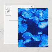 Carte Postale Bleu méduse sous l'eau (Devant / Derrière)