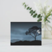 CARTE POSTALE BLEU MOON (Debout devant)