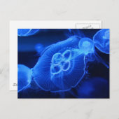 Carte Postale Bleu néon méduse (Devant / Derrière)