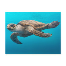 Carte postale bleu océan