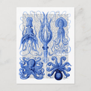 Carte Postale Bleu octopus et calmar