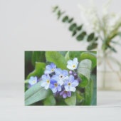 Carte Postale Bleu Oublie Moi Pas Fleurs (Debout devant)