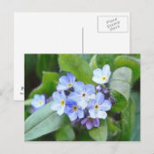 Carte Postale Bleu Oublie Moi Pas Fleurs (Devant / Derrière)